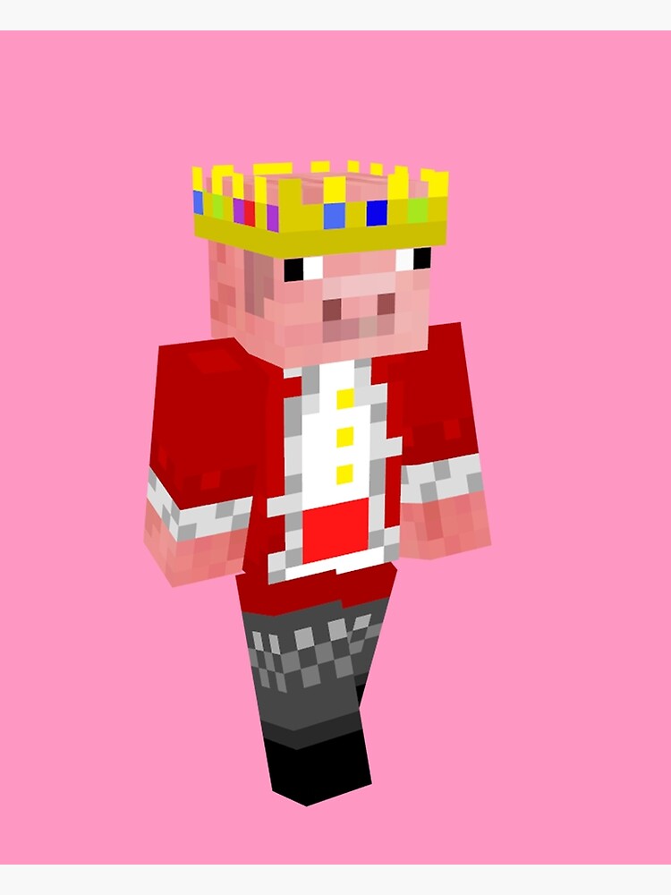 technoblade 🐷  Techno, Minecraft fan art, Mc skins