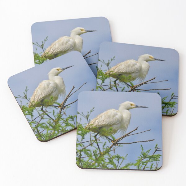 Item preview, Snowy Egret After a Bath designed and sold by richardbryce.