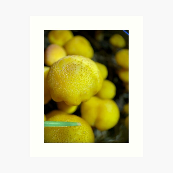 Item preview, Yellow Mushrooms designed and sold by Travis Varnum.