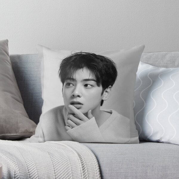 Sesión de fotos gris Cha Eunwoo Cojín