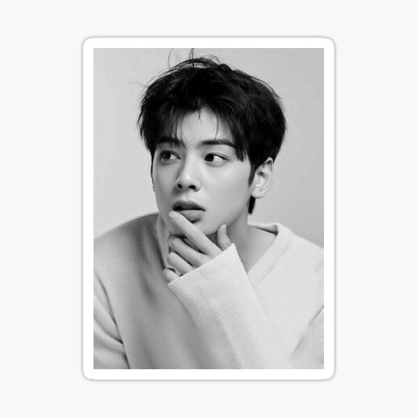 Sesión de fotos gris Cha Eunwoo Pegatina