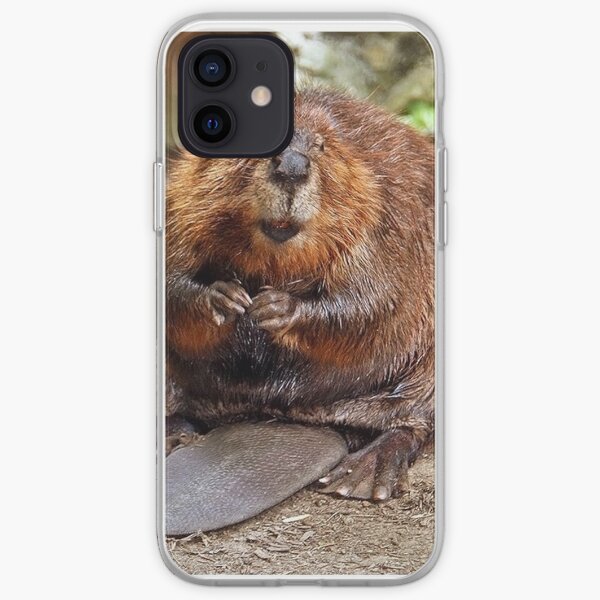 Beaver iPhone cases & covers | Redbubble