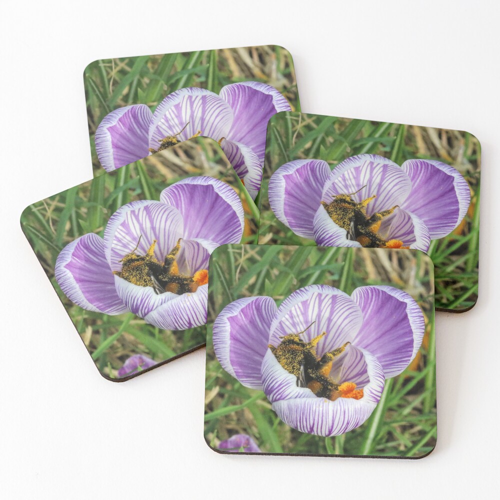 Playing around Coasters (Set of 4)