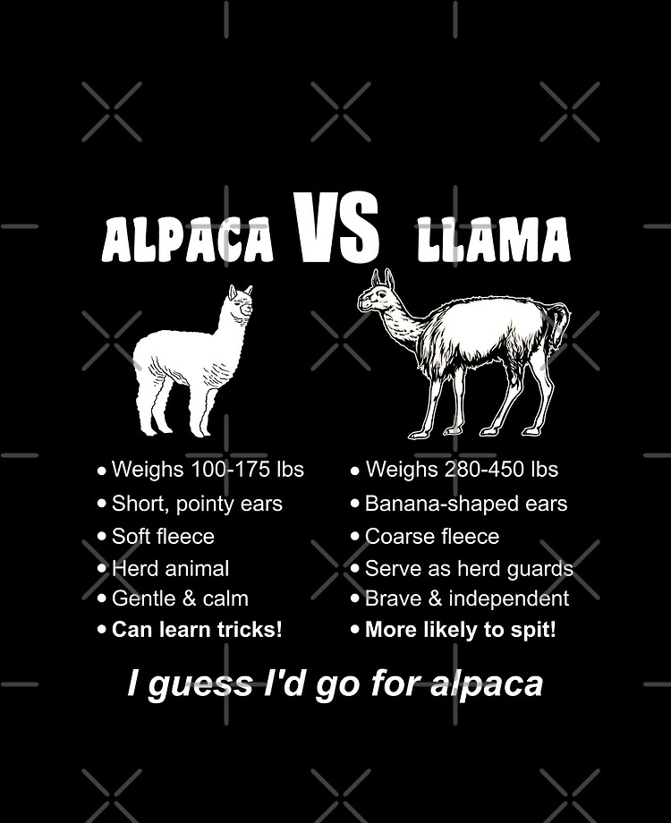 Funny Animal Facts Differences Alpaca Vs Llama