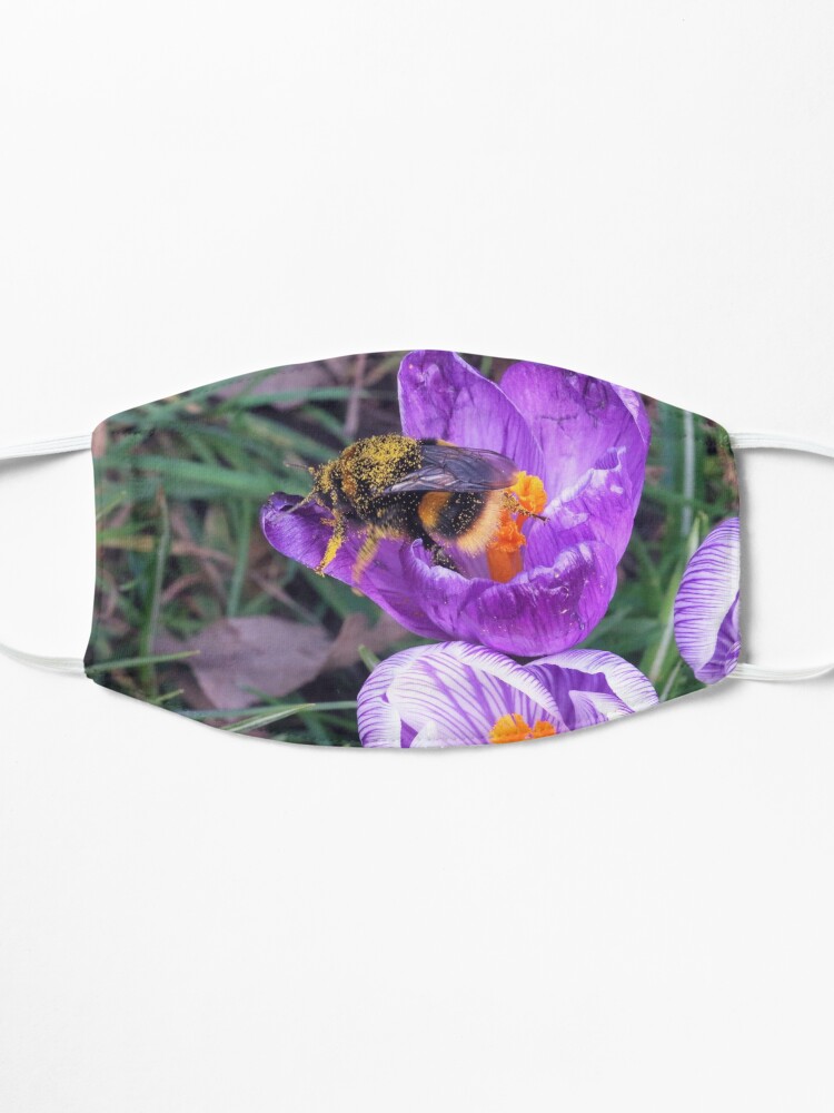 Alternate view of Playing around 2 Mask