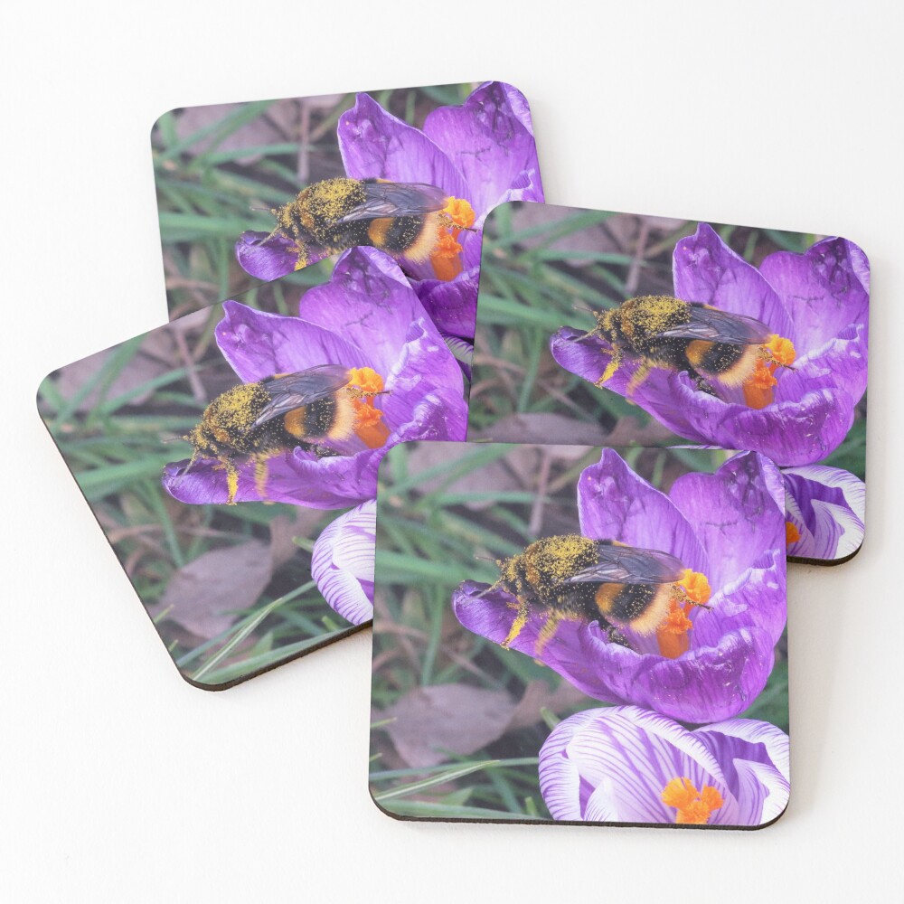 Playing around 2 Coasters (Set of 4)