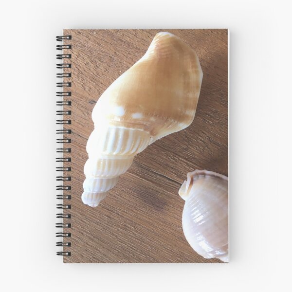 Item preview, Fantastic beach shells on Treibhoz designed and sold by vibeno1.