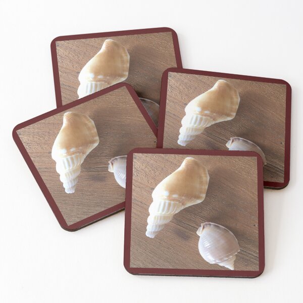 Item preview, Fantastic beach shells on Treibhoz designed and sold by vibeno1.