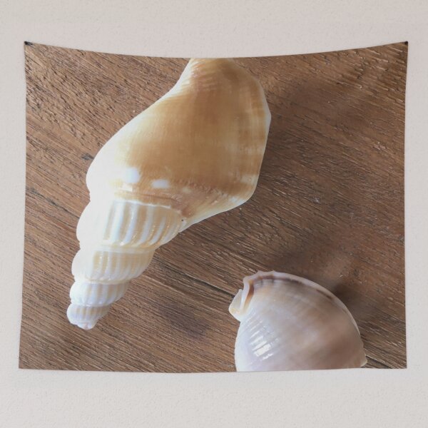 Item preview, Fantastic beach shells on Treibhoz designed and sold by vibeno1.