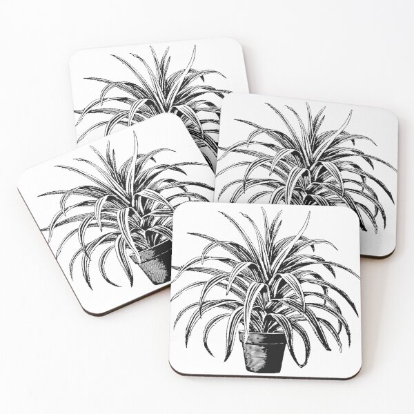 Item preview, Black and white plant artwork designed and sold by beefrancky.