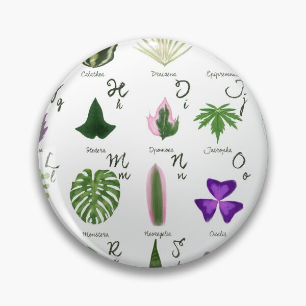 Item preview, The PLANT ALPHABET indoor house plants illustration designed and sold by Onyria Art.