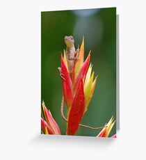 Lizard lookout 2 Greeting Card