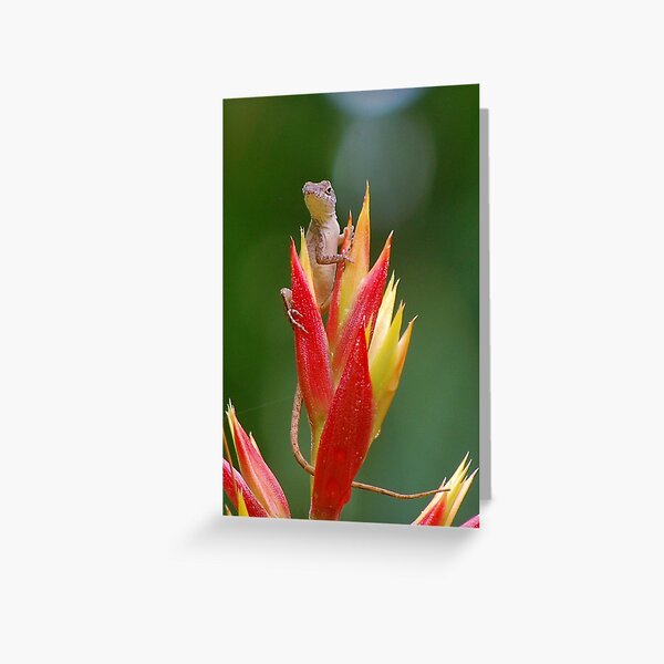 Lizard lookout 2 Greeting Card