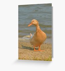 Got bread? Greeting Card