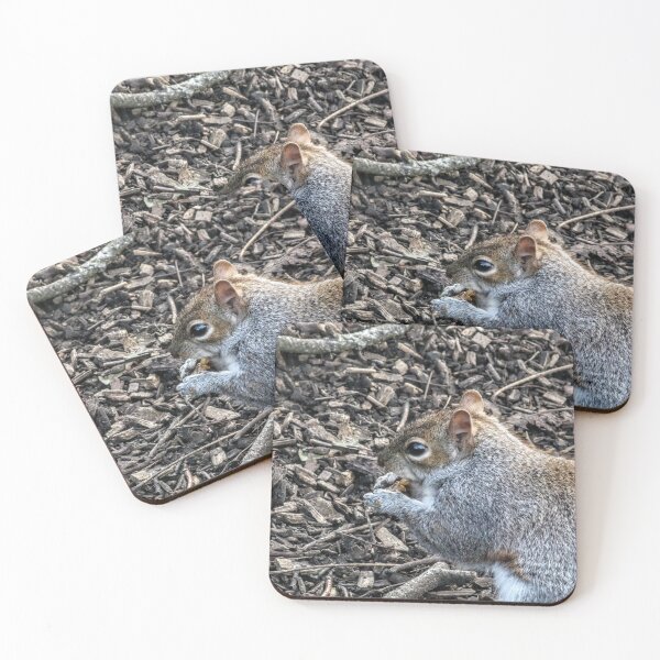 Item preview, Nibbling nuts designed and sold by Seashorepics.