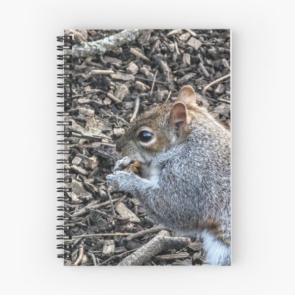 Item preview, Nibbling nuts designed and sold by Seashorepics.