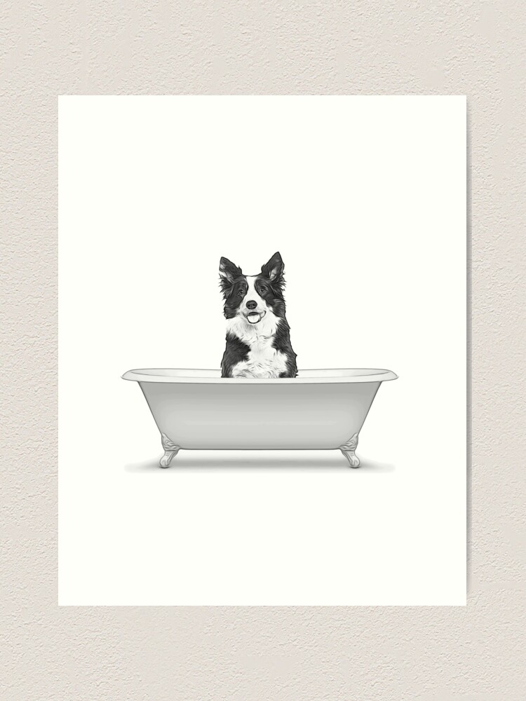 "bathroom art, border collie, dog, bathroom wall art, bathroom kids art