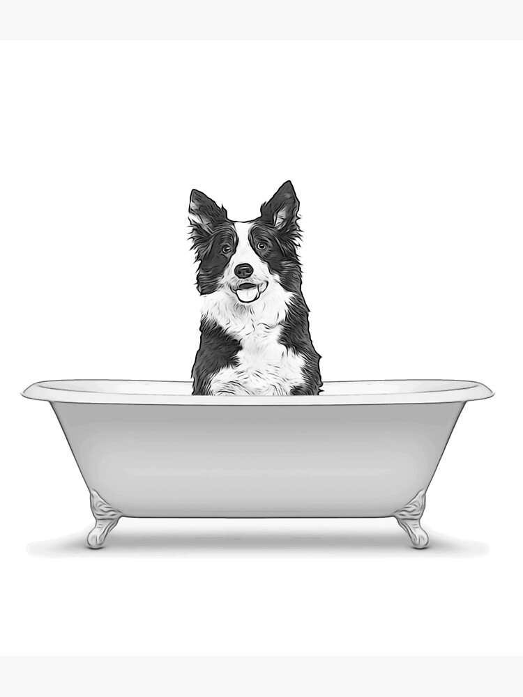 "bathroom art, border collie, dog, bathroom wall art, bathroom kids art