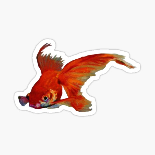 'Goldfish' Sticker