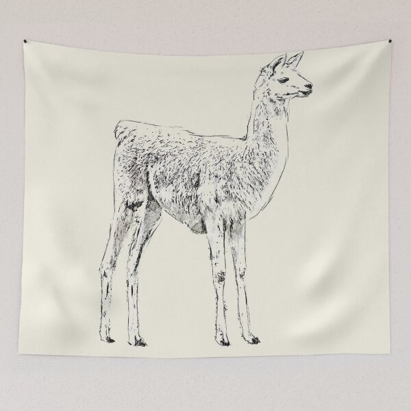 Item preview, Funny Lama Drawing designed and sold by shokA Design.