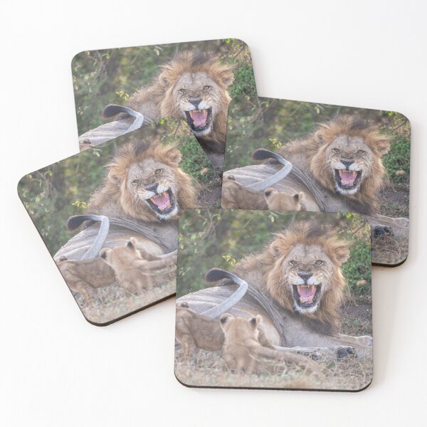 Item preview, Lion cubs annoy Papa Lion designed and sold by Ingo Gerlach.