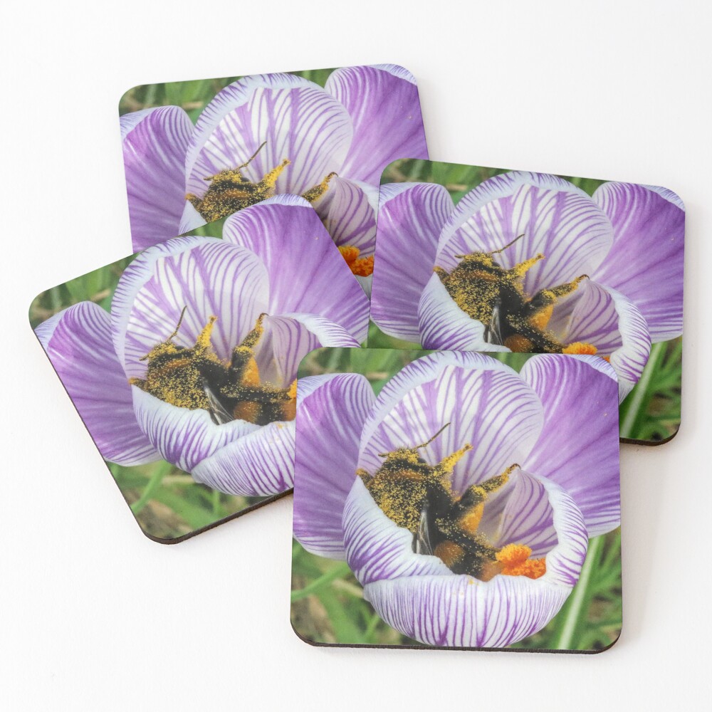 Bee 2 Coasters (Set of 4)