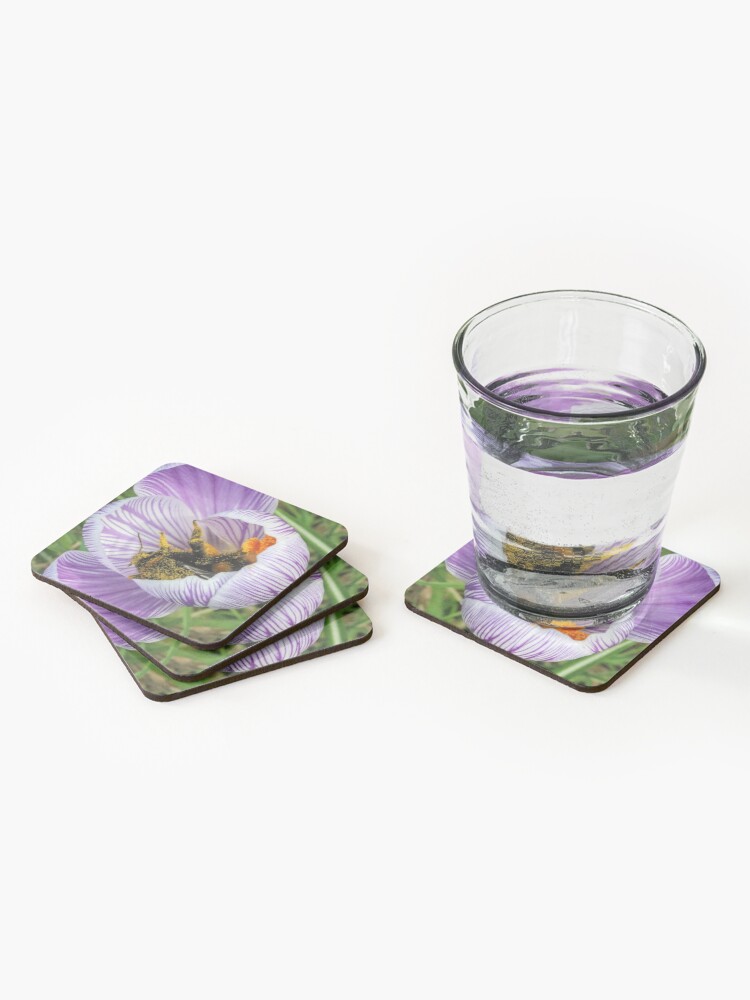 Alternate view of Bee 2 Coasters (Set of 4)