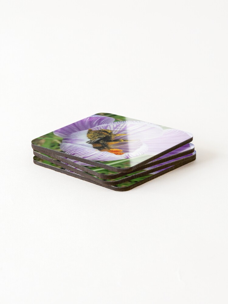 Alternate view of Bee 2 Coasters (Set of 4)