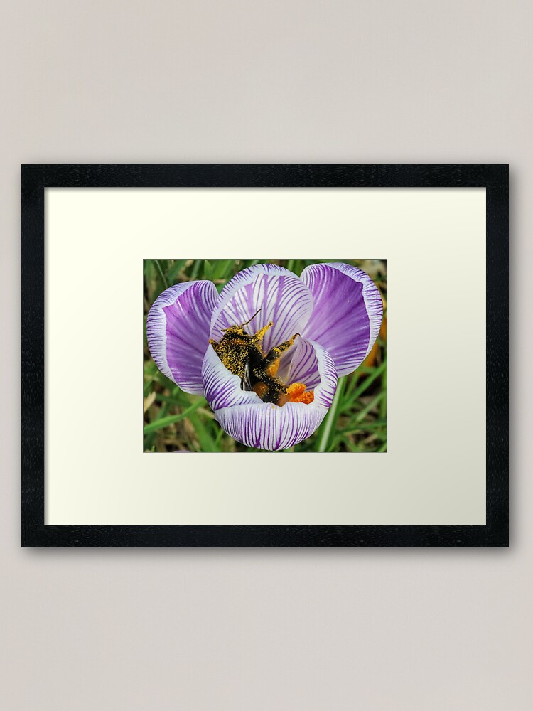 Alternate view of Bee 2 Framed Art Print