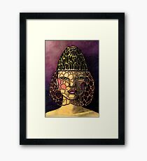 Dictyophora Indusiata Framed Print