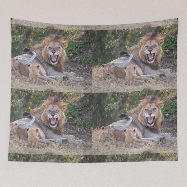 Item preview, Lion cubs annoy Papa Lion designed and sold by Ingo Gerlach.