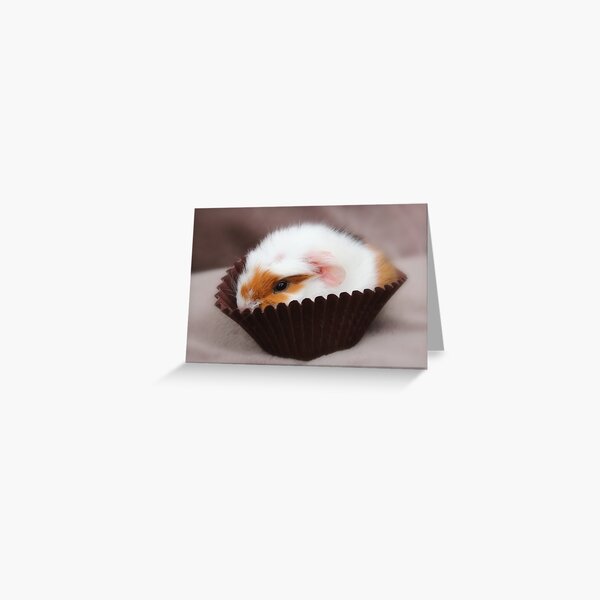 Meet Cupcake Greeting Card