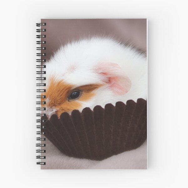 Item preview, Meet Cupcake designed and sold by AnnDixon.