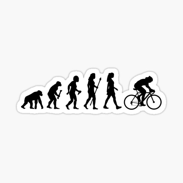 Cycle evolution store