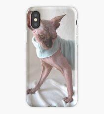 Choccolate sphynx cat whit light blue dress iPhone Case