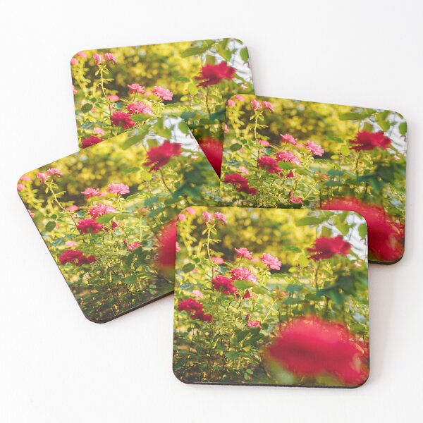 Item preview, Beautiful red and pink rose flowes blooming in the sunset garden, nature spring background designed and sold by dariazu.
