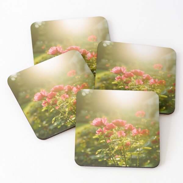 Item preview, Beautiful red and pink rose flowes blooming in the sunset garden, nature spring background designed and sold by dariazu.