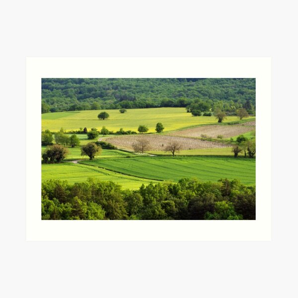 Springtime in the countryside Art Print