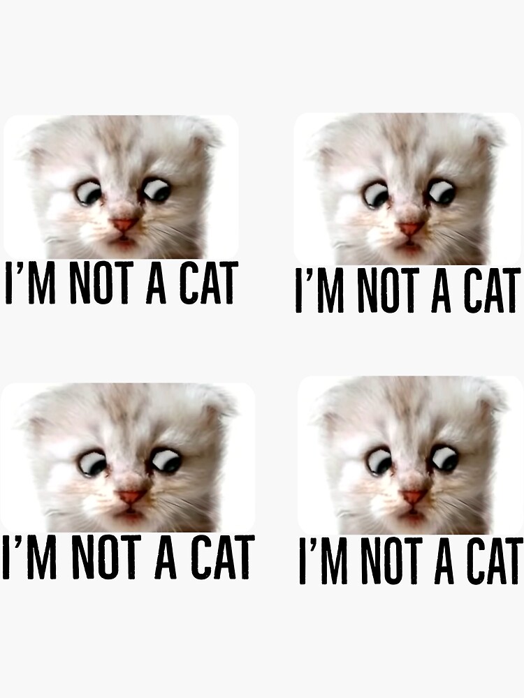 "I’m not a cat. The lawyer cat filter meme" Sticker for Sale by