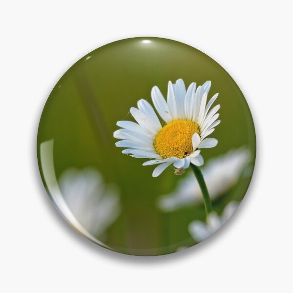 Item preview, Beautiful white daisy growing in a summer garden designed and sold by digoarpi.