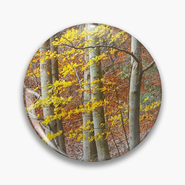 Artikelvorschau, Beautifal Herbst Buchenwald en Berg entworfen und verkauft von digoarpi.
