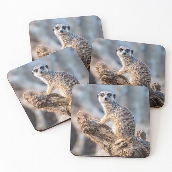 Item preview, Meerkat - Lord of the Manor designed and sold by Andrew Goodall.