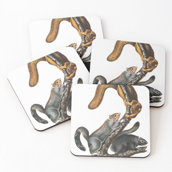 Item preview, Agile Cat Squirrels Climbing | Audubon Illustration Detail designed and sold by Tony  Pinchuck.