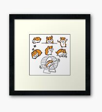 hamster Framed Print