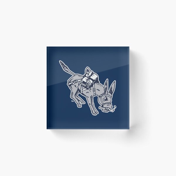 Item preview, new Colorado Mines-Orediggers designed and sold by carmistore.