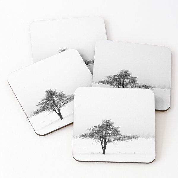 Item preview, 24.2.2021: Pine Tree in Fog designed and sold by Petri Volanen.