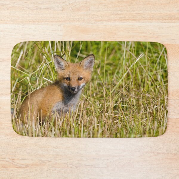 Item preview, Fox Kit designed and sold by Michael Cummings.
