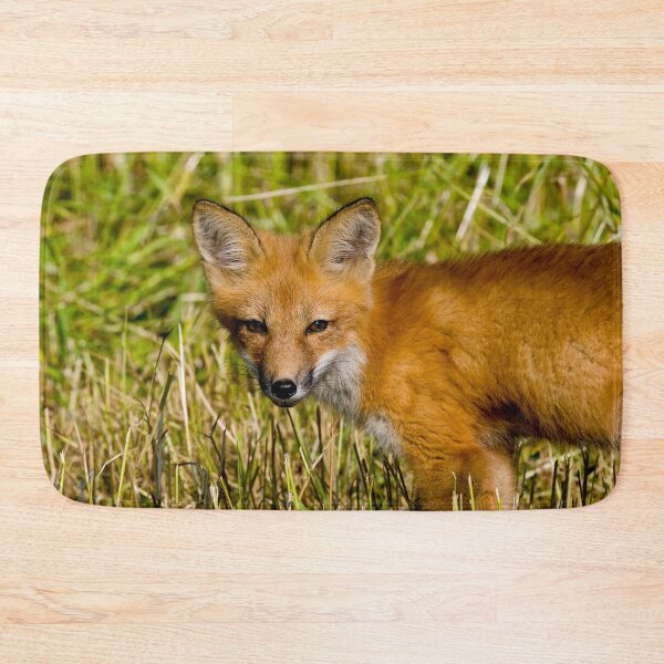 Item preview, Young Fox Kit designed and sold by Michael Cummings.