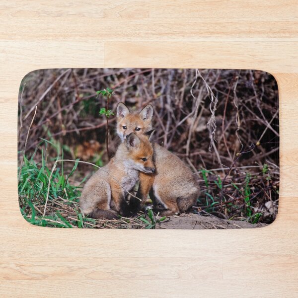 Item preview, Fox Kits designed and sold by Michael Cummings.