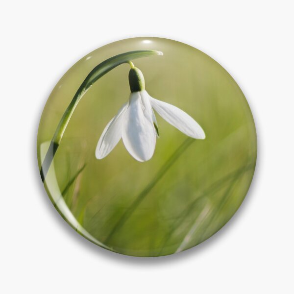 Item preview, Snow drop in winter sunlight designed and sold by stevieuk.